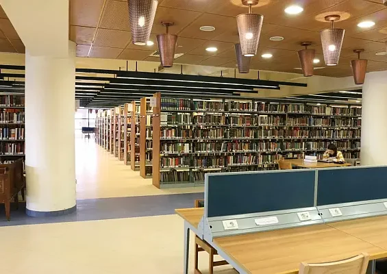Library-Shelving